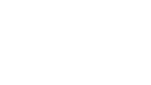 Typesense logo without background