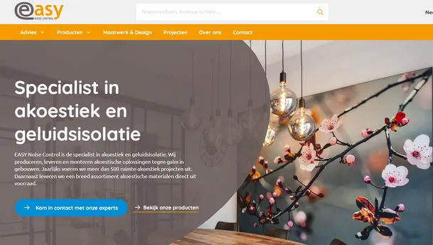 Easy Noise Control website screenshot